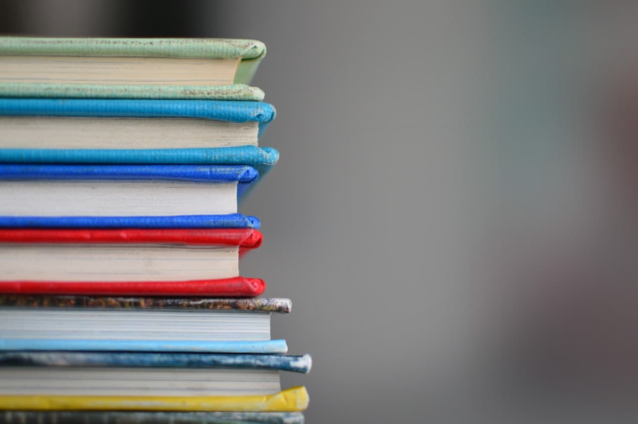 Explore Our Courses